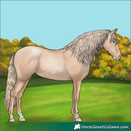 Horse Color:Gold Champagne Pearl Rabicano  and Gold Champagne Pearl Rabicano 