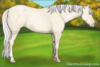 Horse Color:Silver Amber Cream Champagne Pearl