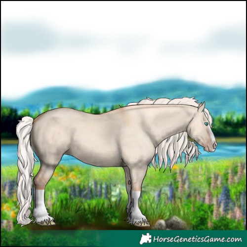 Horse Color:Silver Classic Champagne Dun Splash Frame 