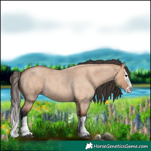 Horse Color:Bay Roan Dun Splash 