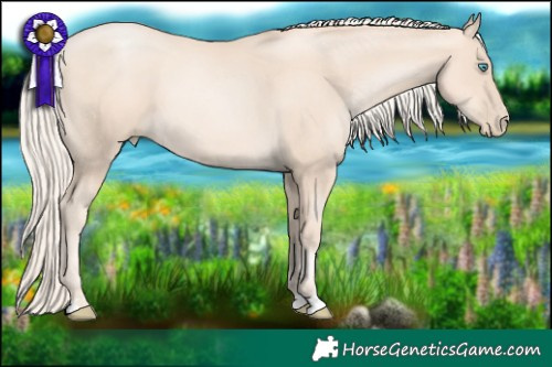 Horse Color:Gold Cream Champagne Pearl 