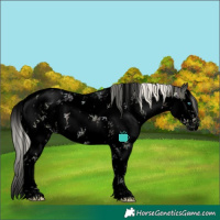 Horse Color:Void White Spotted Silver Buckskin Ice Splash Tobiano Blanket 
