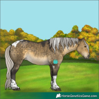 Horse Color:Silver Buckskin Dun Tobiano 