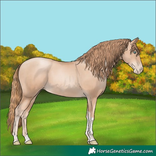 Horse Color:Gold Champagne Pearl Rabicano  and Gold Champagne Pearl Tobiano Rabicano 