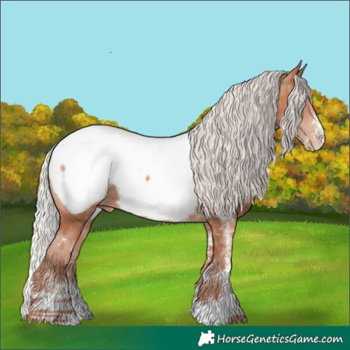 Horse Color:Silver Sable Champagne Sabino Appaloosa 