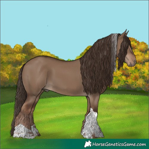 Horse Color:Liver Red Dun Tobiano 