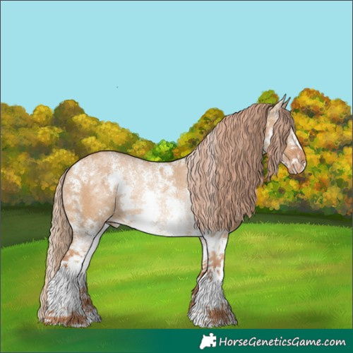 Horse Color:Red Dun Sabino Appaloosa Rabicano
