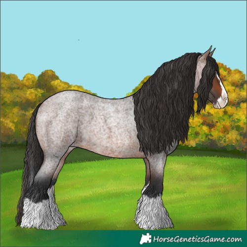 Horse Color:Brown Roan Splash 