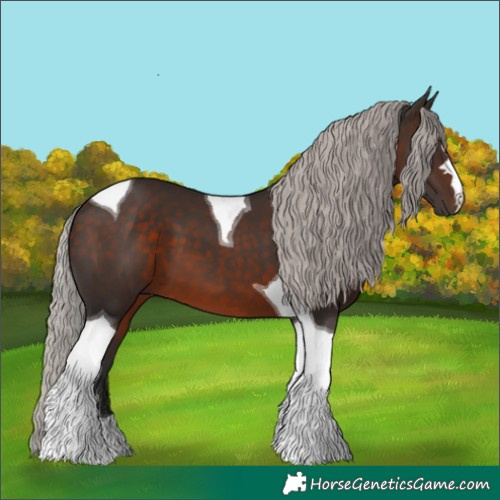 Horse Color:Silver Brown Tobiano 