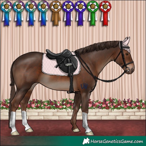 Horse Color:Liver Chestnut