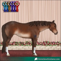 Horse Color:Liver Chestnut 