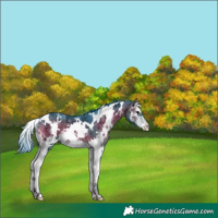 Horse Color:Watercolor White Spotted Brown Ice Onyx Splash 