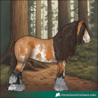 Horse Color:Buckskin Sabino Rabicano and Buckskin Sabino Rabicano