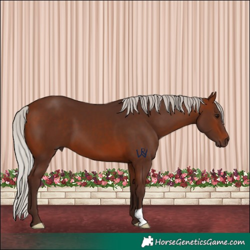Horse Color:Silver Brown 