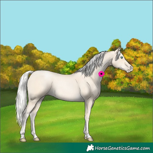 Horse Color:Silver Smoky Black Pearl