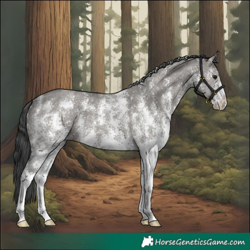 Horse Color:Grullo Sabino 