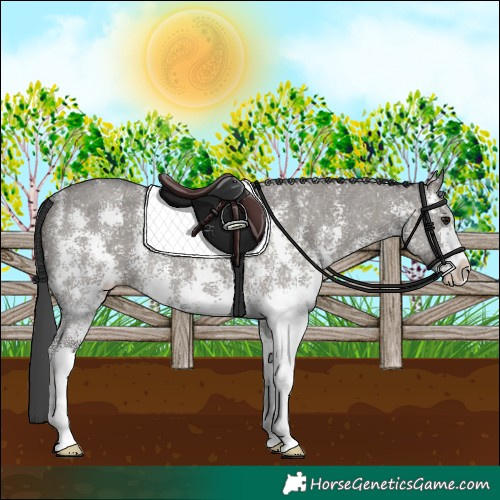 Horse Color:Grullo Sabino 