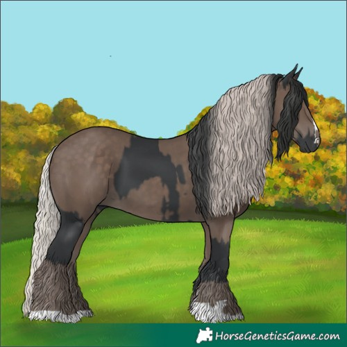 Horse Color:Black and Silver Black