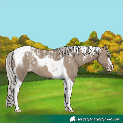 Horse Color:Powder White Silver Brown Dun Tobiano 
