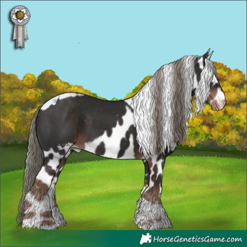 Horse Color:Liver Chestnut Mushroom Tobiano Skewed LP Spotted 