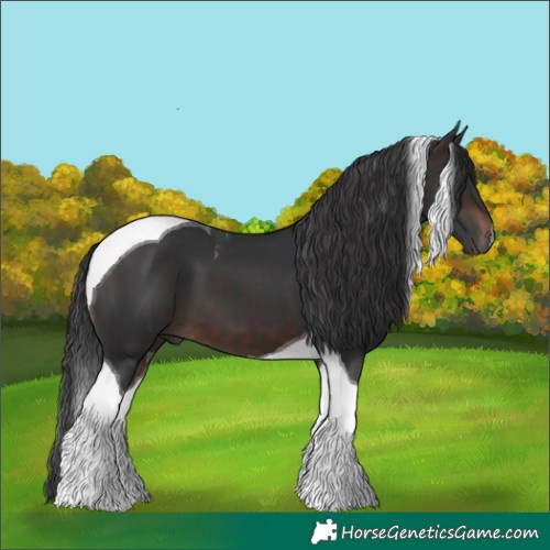 Horse Color:Brown Tobiano 