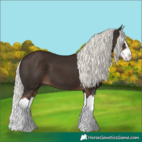 Horse Color:Liver Chestnut Mushroom Splash 