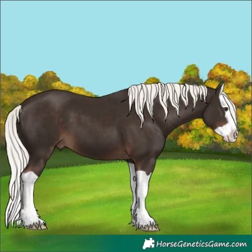 Horse Color:Liver Chestnut Mushroom Splash 