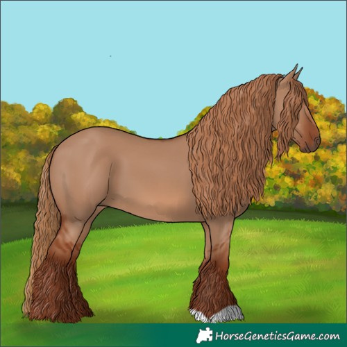 Horse Color:Red Dun 