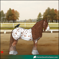 Horse Color:Chestnut Frame Blanket 