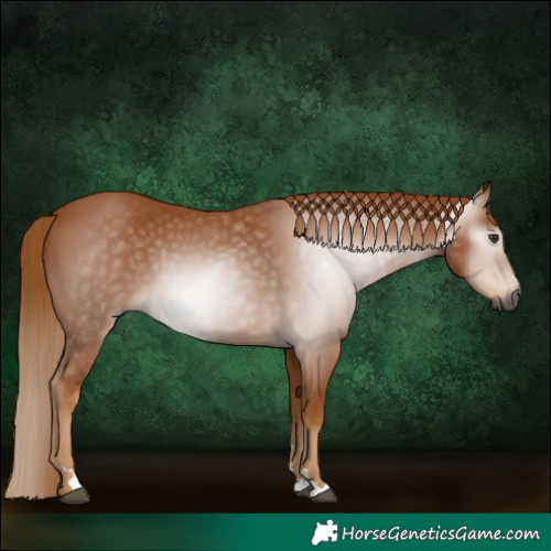 Horse Color:Gray Chestnut