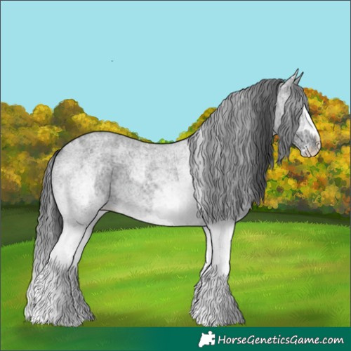 Horse Color:White Spotted Blue Roan Rabicano  and White Spotted Blue Roan Splash Rabicano 
