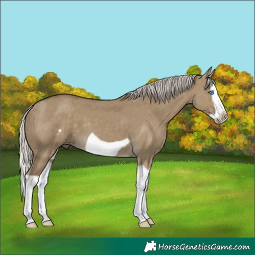 Horse Color:Silver Smoky Grullo Splash Frame 