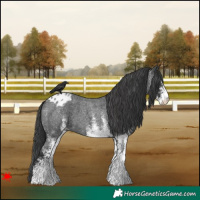 Horse Color:White Spotted Blue Roan Blanket 