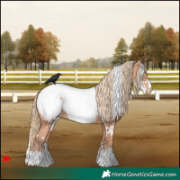 Horse Color:White Spotted Gold Champagne Snowcap 