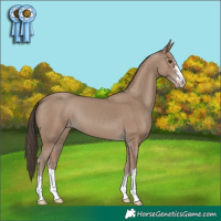 Horse Color:Classic Champagne
