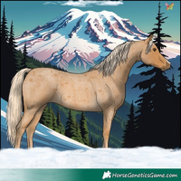 Horse Color:Palomino Roan 
