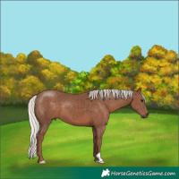 Horse Color:Silver Black 
