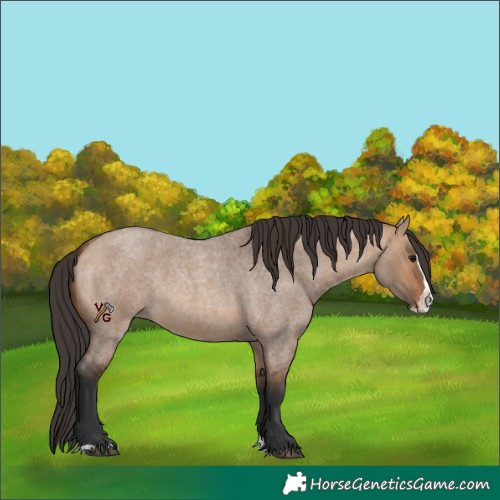 Horse Color:Bay Roan Dun Splash 
