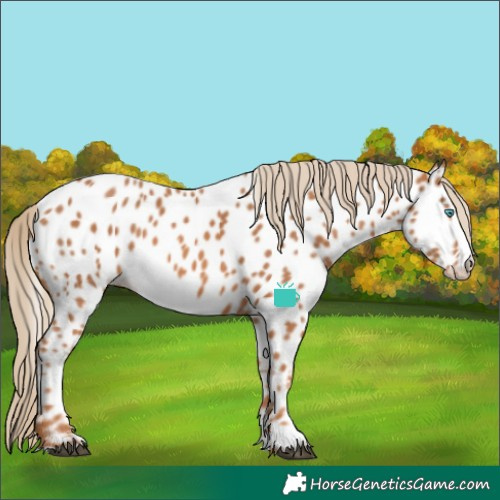 Horse Color:Chestnut Splash Near Leopard