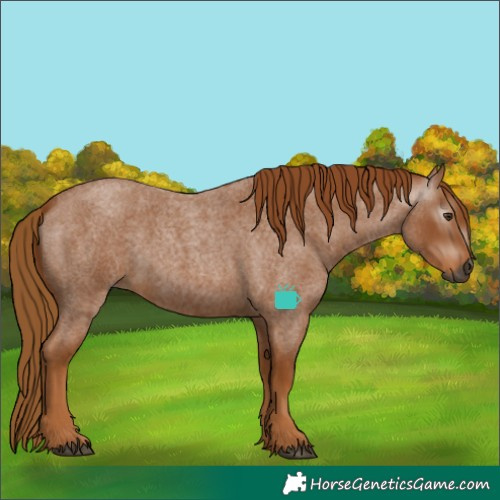 Horse Color:Gray Red Roan 