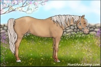 Horse Color:Silver Classic Champagne 