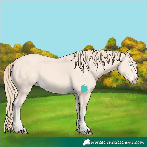 Horse Color:Perlino