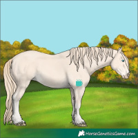 Horse Color:Perlino 