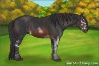 Horse Color:Brown Sabino Brindle