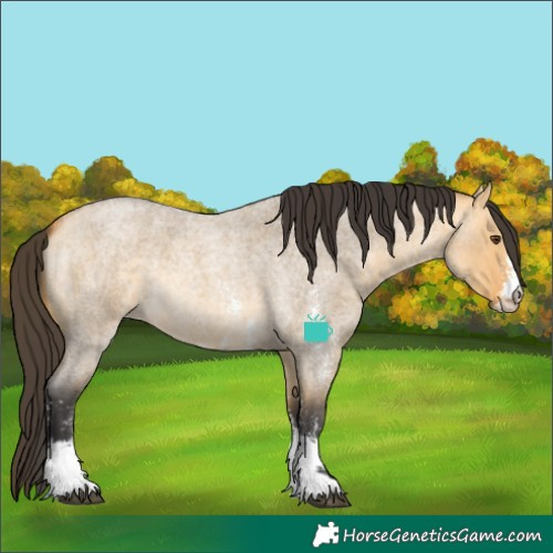 Horse Color:Buckskin Roan Dun Sabino 