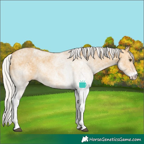 Horse Color:White Spotted Silver Buckskin Dun