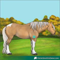 Horse Color:Silver Buckskin Tobiano 