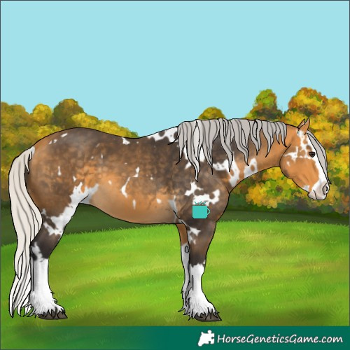 Horse Color:White Spotted Silver Buckskin Splash 
