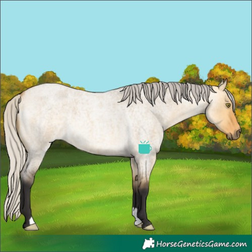 Horse Color:Silver Buckskin Roan Dun
