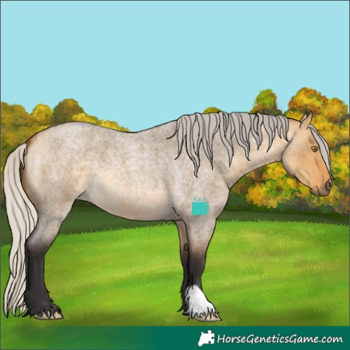 Horse Color:Silver Buckskin Roan Dun 